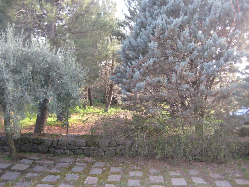 La Casa Del Cavaliere Villa Santa Maria di Licodia Cameră foto