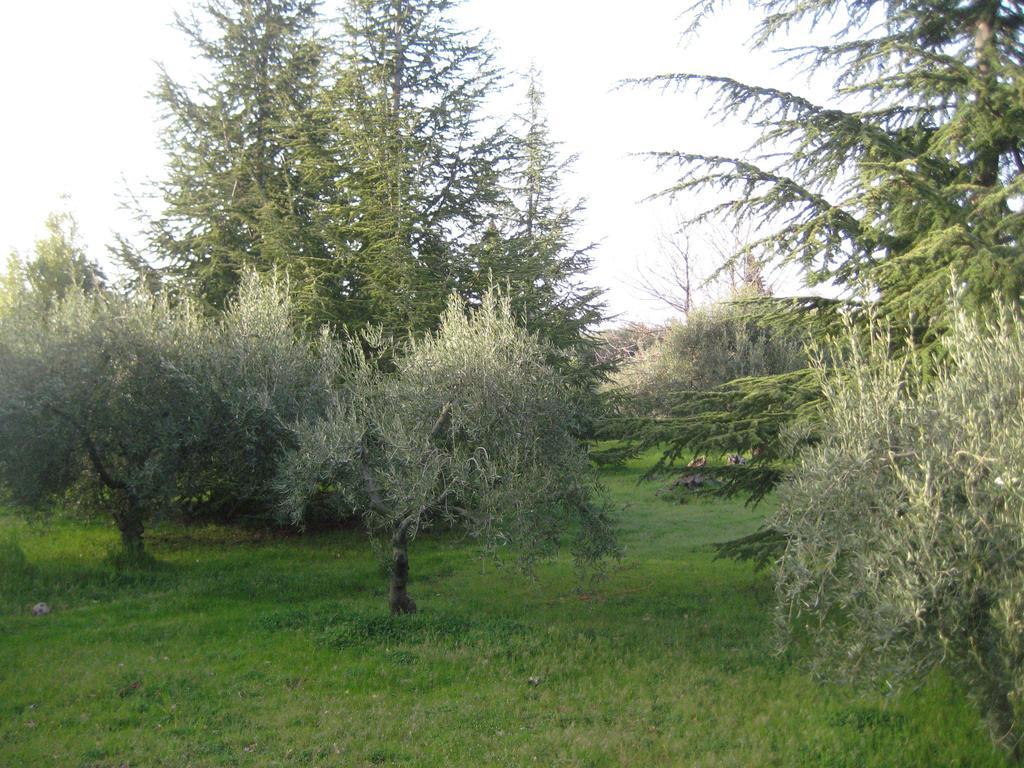 La Casa Del Cavaliere Villa Santa Maria di Licodia Cameră foto